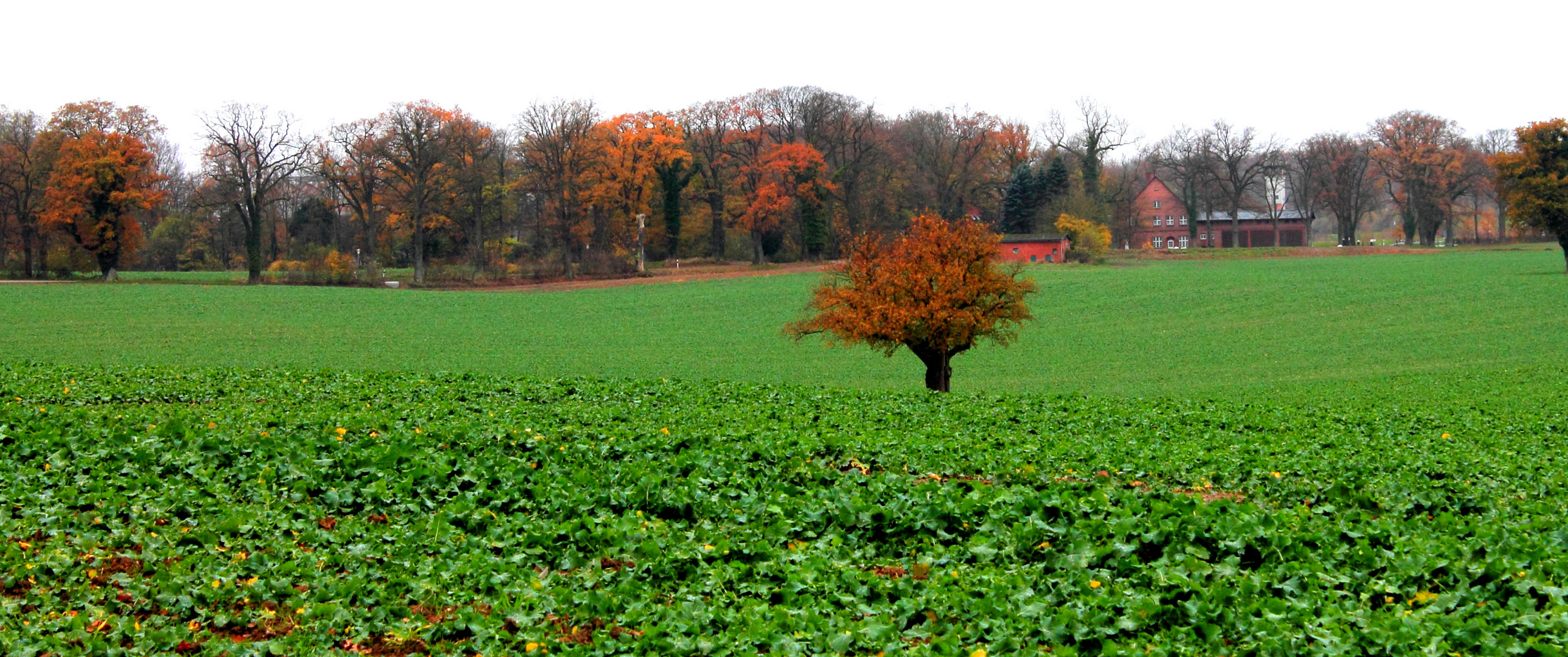 Herbstfelder