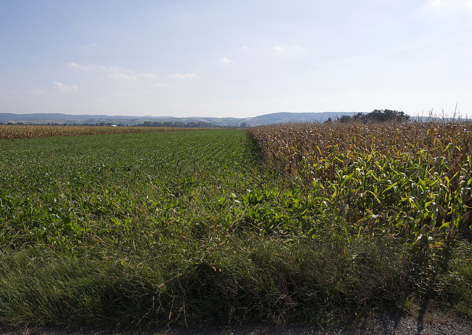 herbstfelder