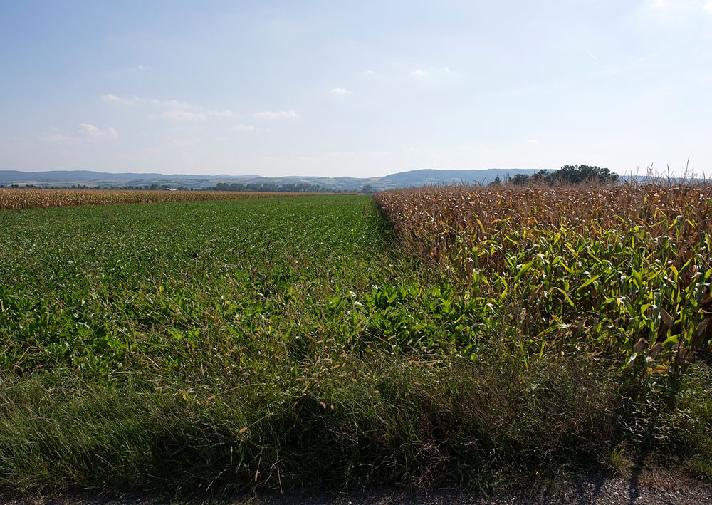 herbstfelder