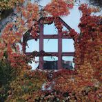 herbstfenster