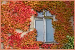 Herbstfenster