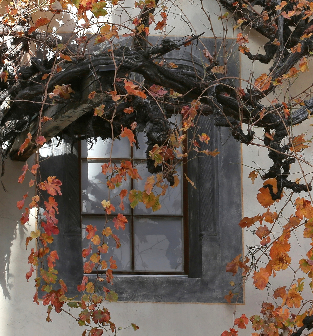 Herbstfenster