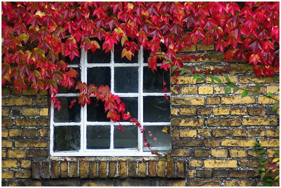 " Herbstfenster "