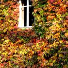 Herbstfenster