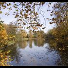 Herbstfenster