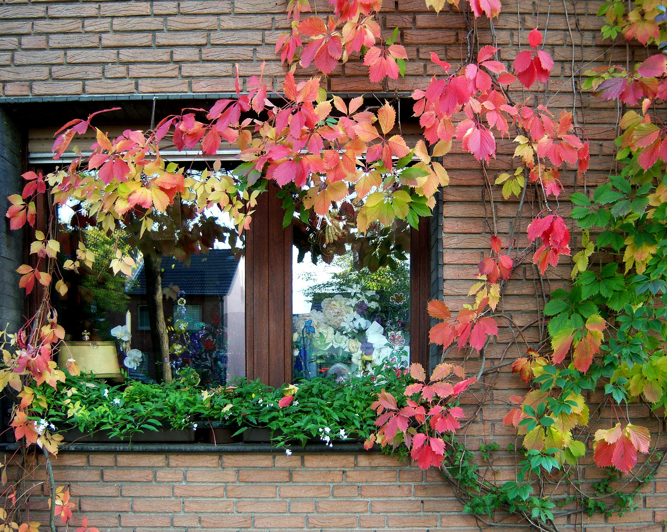 Herbstfenster