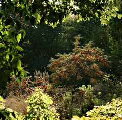 Herbstfenster