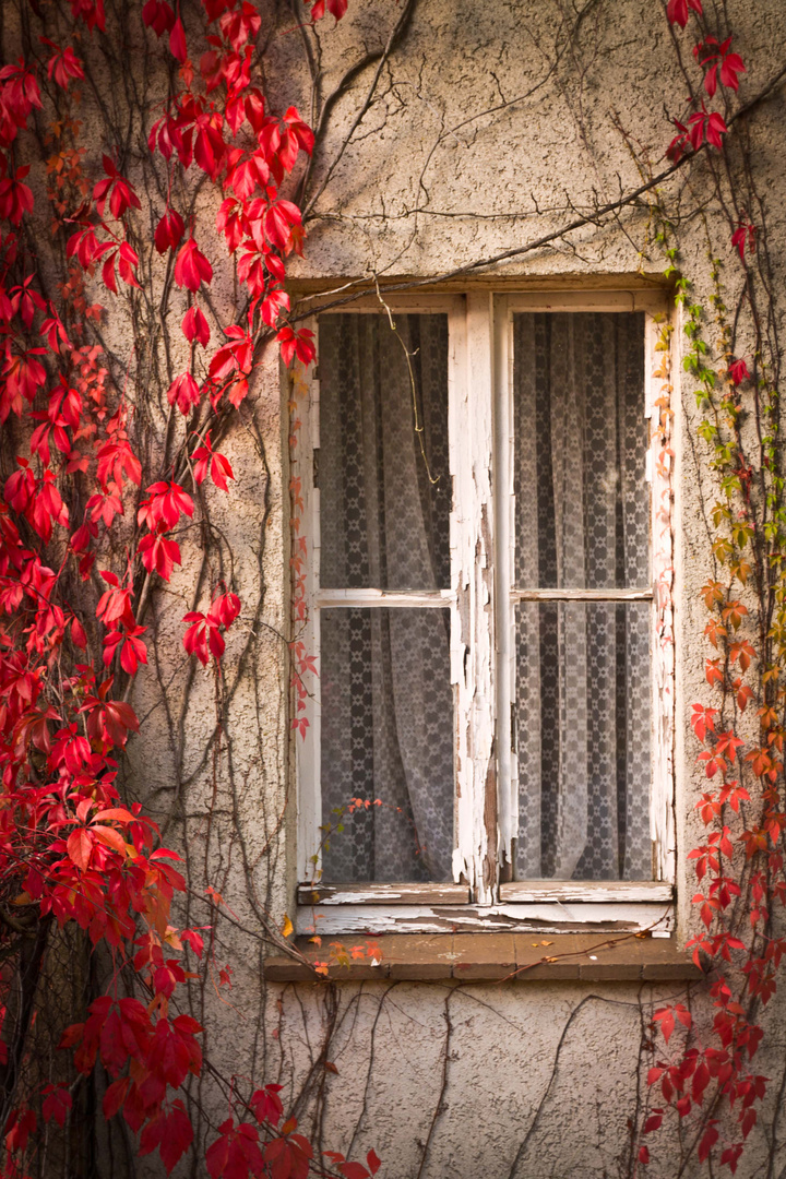 Herbstfenster