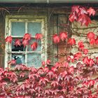 Herbstfenster