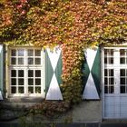 Herbstfenster