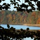 Herbstfenster am Nehmitzsee (Naturpark Stechlin)