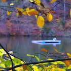 Herbstfenster