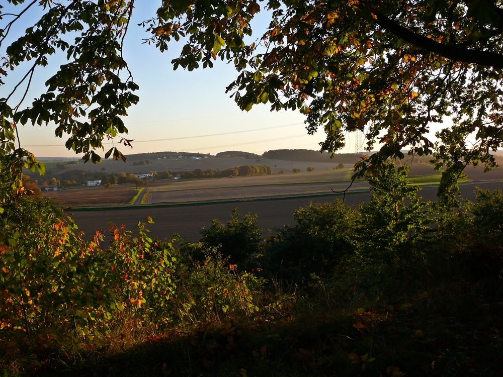 Herbstfenster