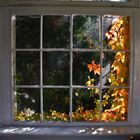 Herbstfenster...