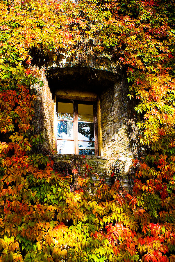 Herbstfenster