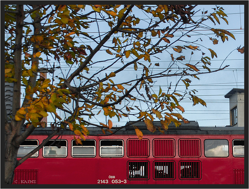 Herbstfenster