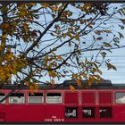 Herbstfenster