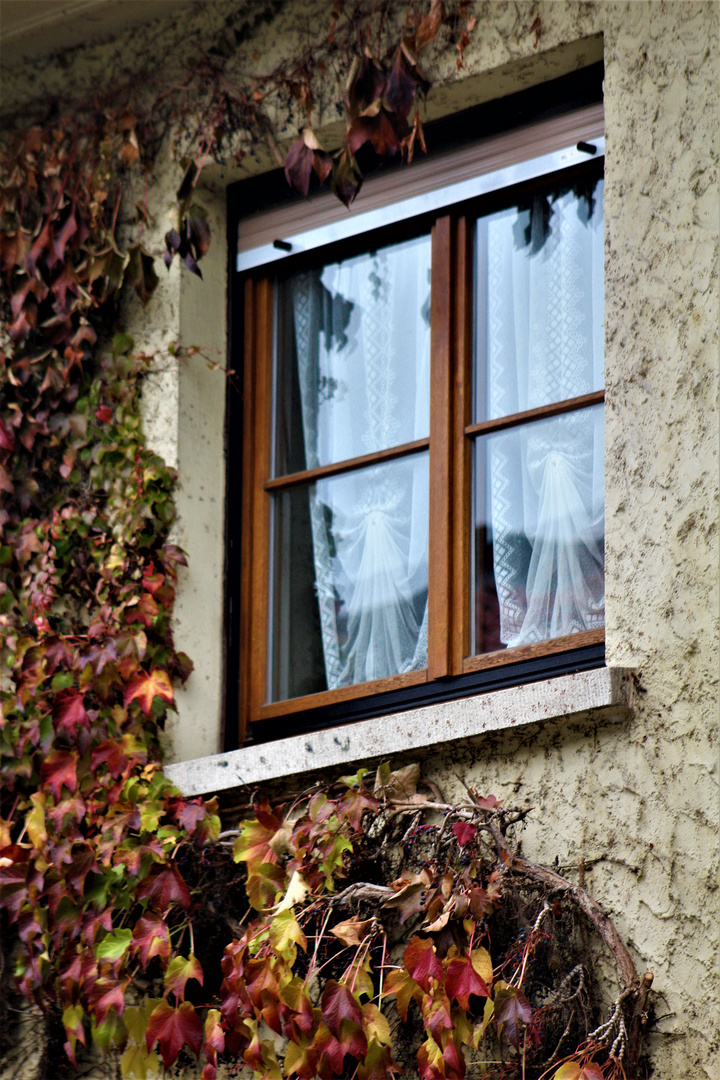 Herbstfenster von der Natur geschmückt