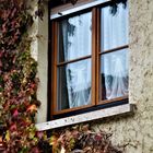 Herbstfenster von der Natur geschmückt