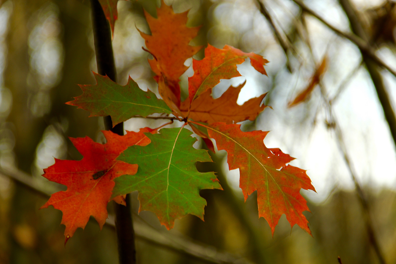 Herbstferien 3