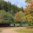 Herbstferien auf der Weißeritztalbahn 02