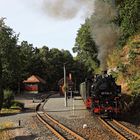 Herbstferien auf der Weißeritztalbahn 03