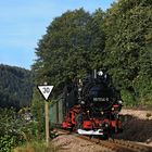 Herbstferien auf der Weißeritztalbahn 05