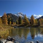 Herbstferien im Engadin