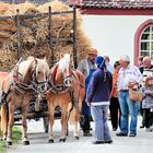 Herbstfest