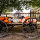 Herbstfest in Klockenhagen