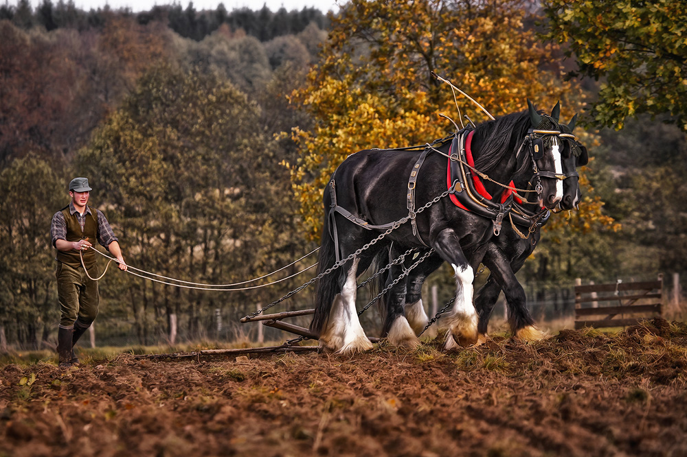 Herbstfest in Sababurg 1