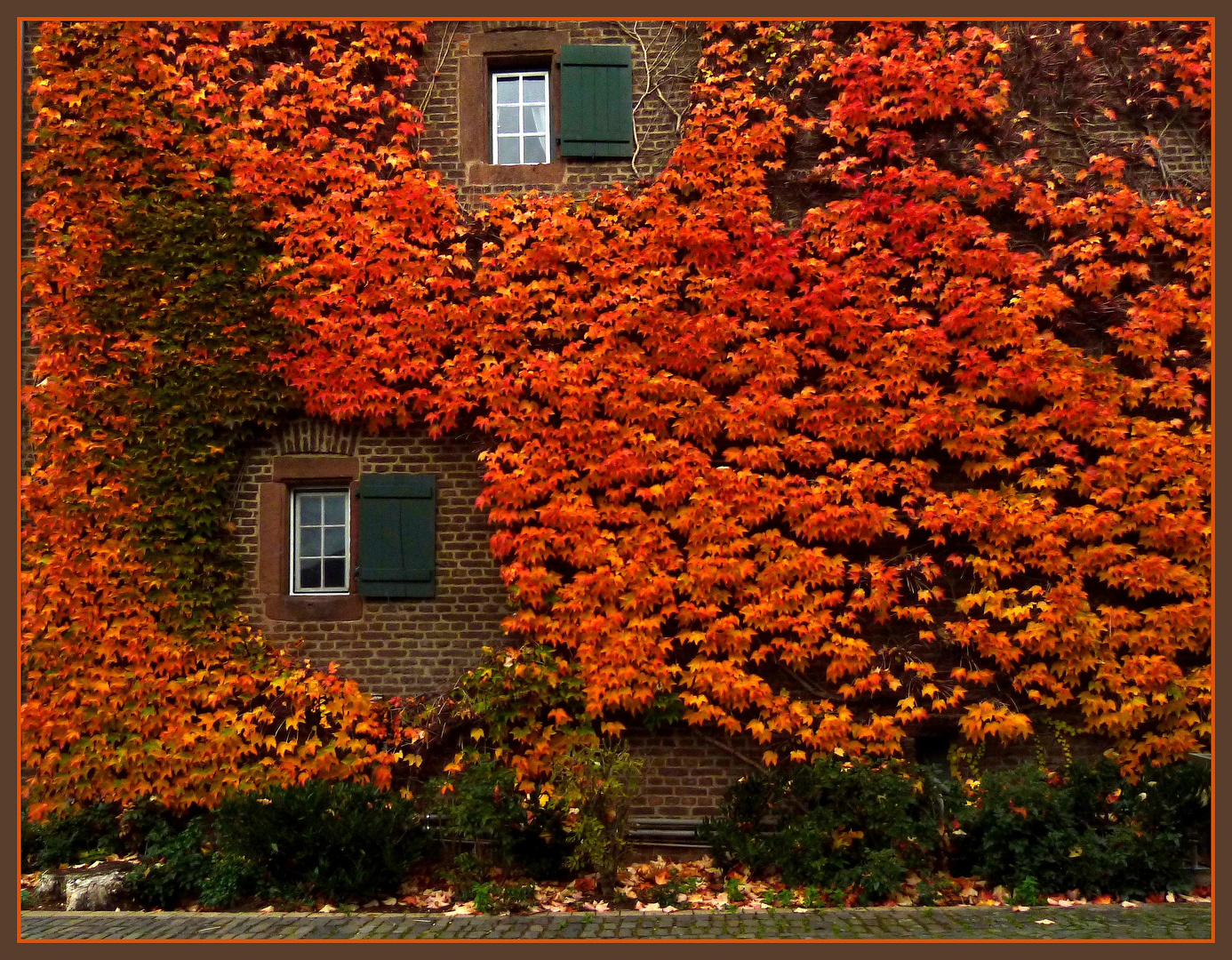 Herbstfeuer