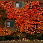 Herbstfeuer