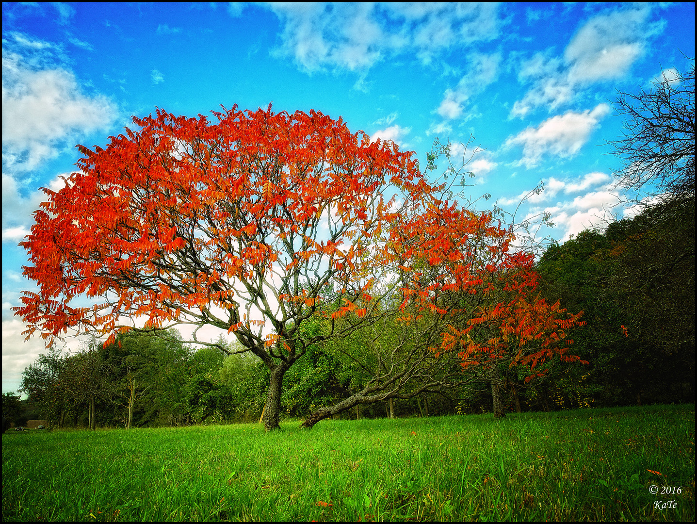 Herbstfeuer