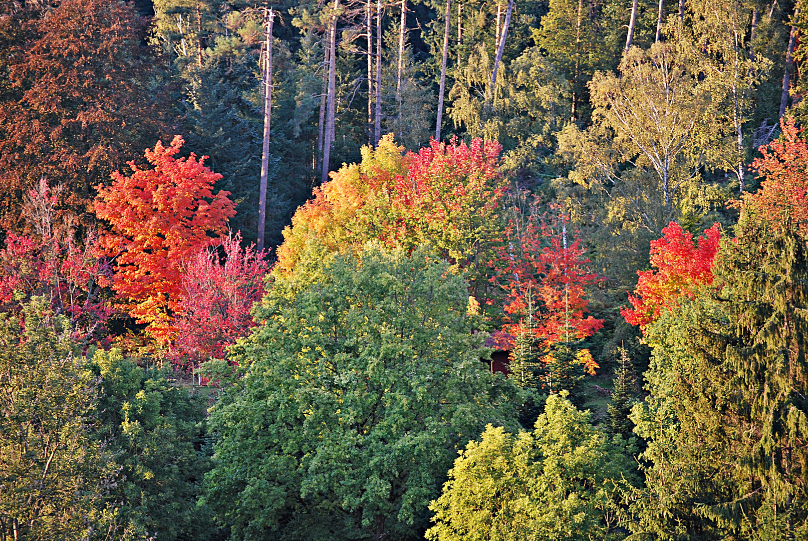 Herbstfeuer...