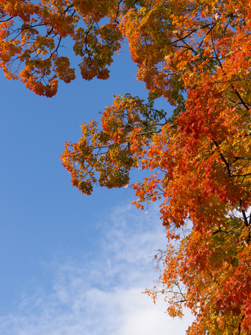 Herbstfeuer