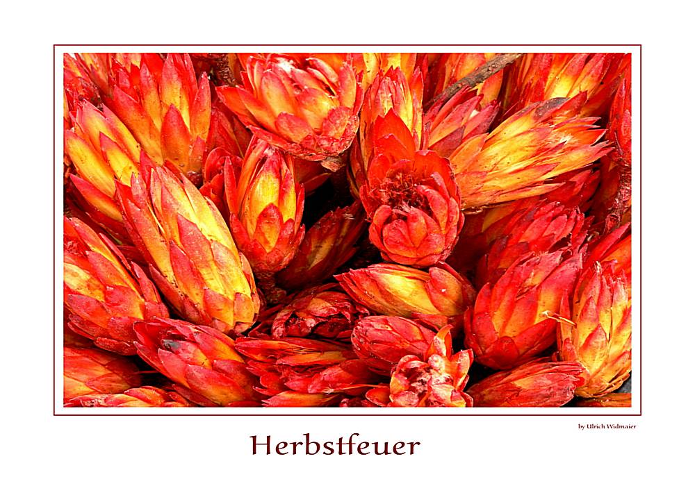 Herbstfeuer