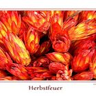 Herbstfeuer