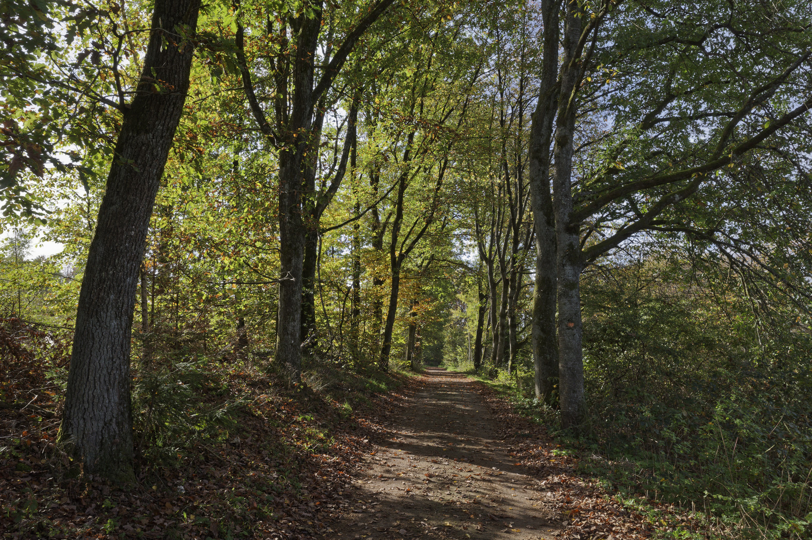 Herbstfeuer