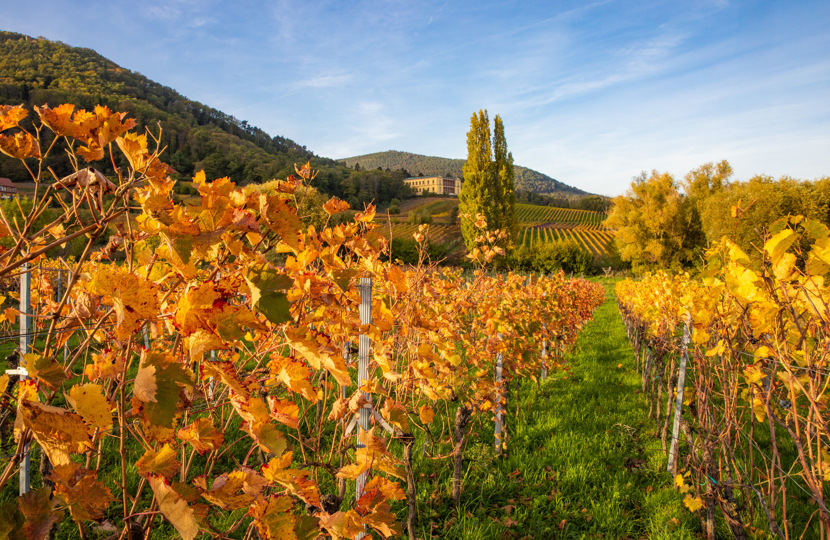 Herbstfeuer