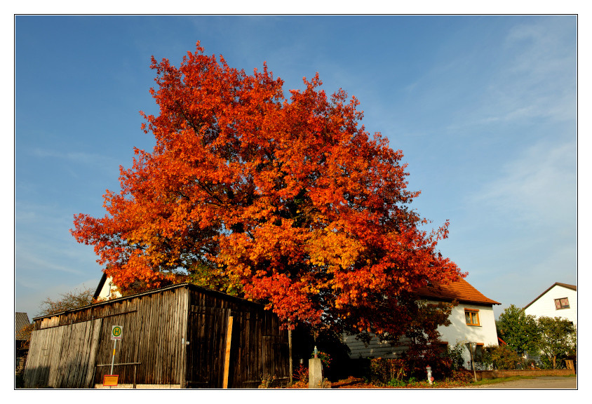 Herbstfeuer