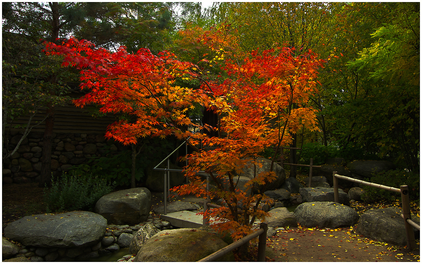 Herbstfeuer