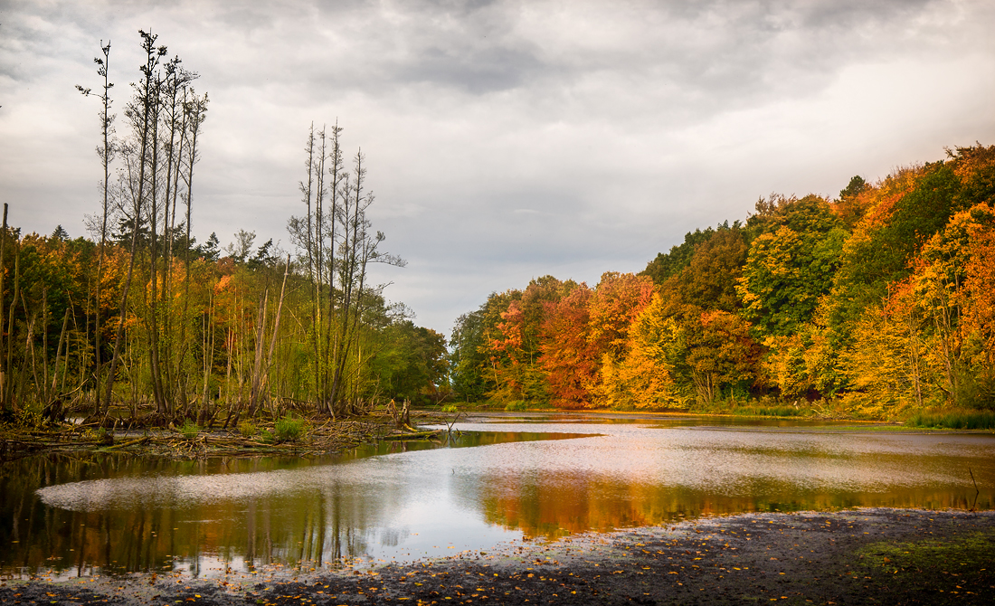 Herbstfeuer