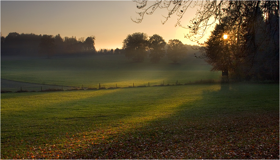 Herbstfeuer