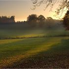 Herbstfeuer