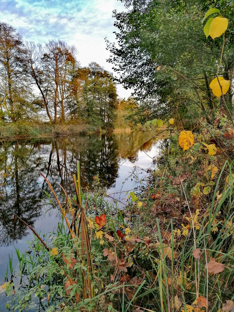 Herbstfeuer am Finowkanal 