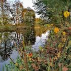 Herbstfeuer am Finowkanal 