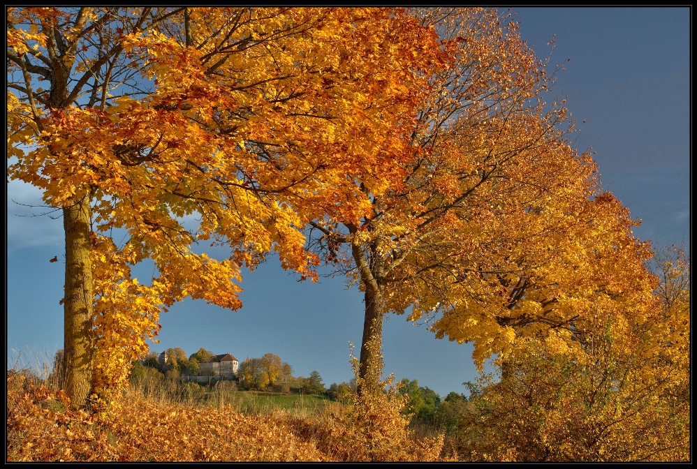 Herbstfeuer