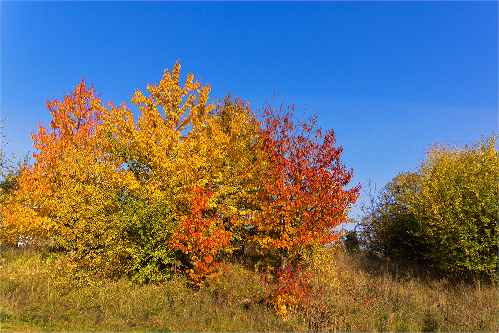 Herbstfeuer