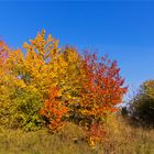 Herbstfeuer